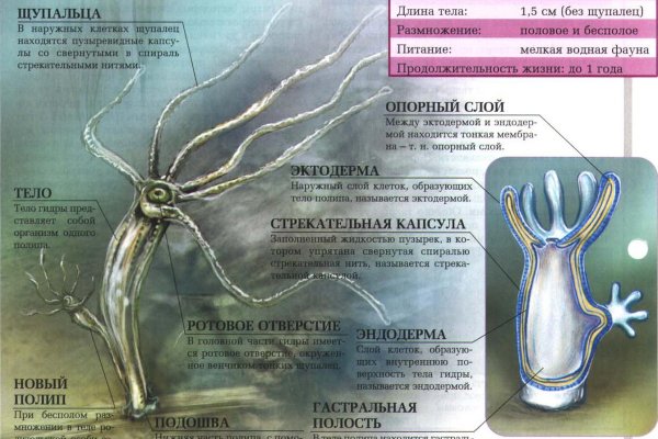 Где купить наркоты