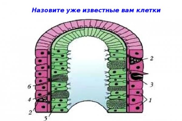 Как зайти на кракен в торе