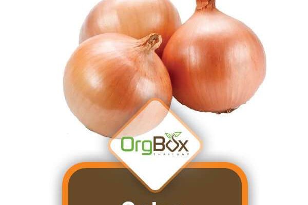 Kraken tor onion зеркало