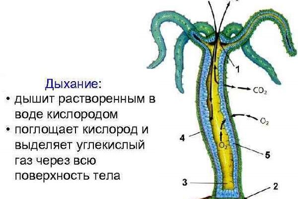 Кракен сайт купить наркотики