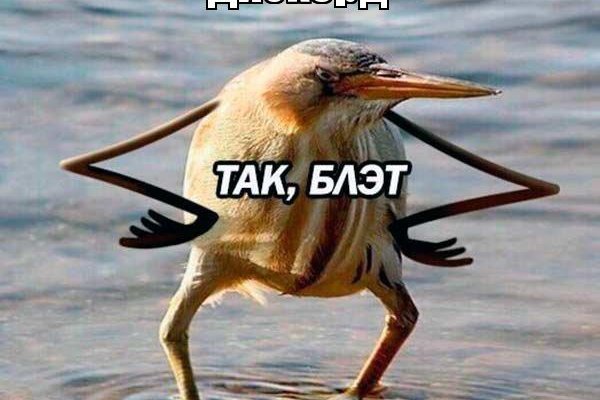 Кракен даркнет стор