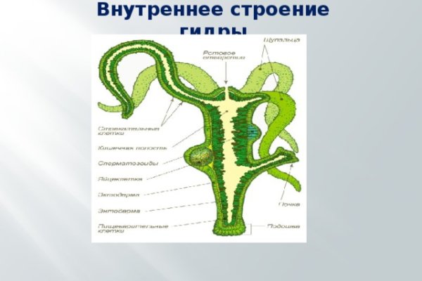 Сайт кракен онион