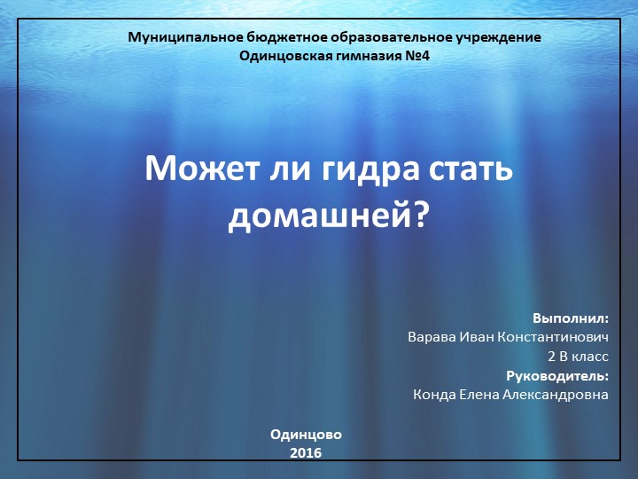 Ссылка на kraken торговая площадка