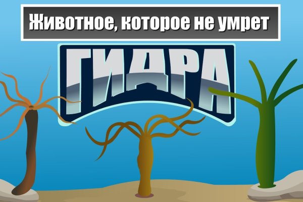 Ссылка кракен vk2 top