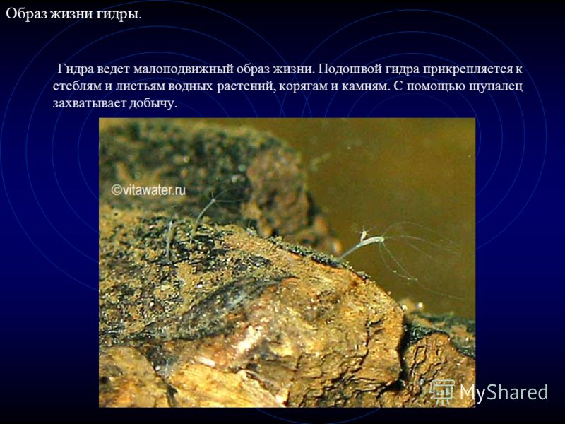 Кракен сайт kr2web in