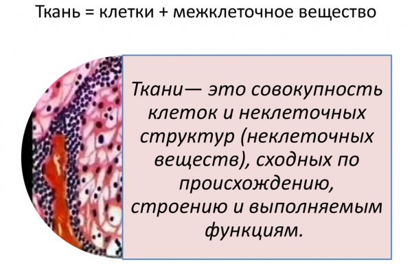 Kraken в россии