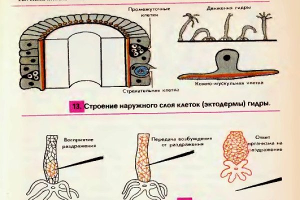 Кракен сайт это